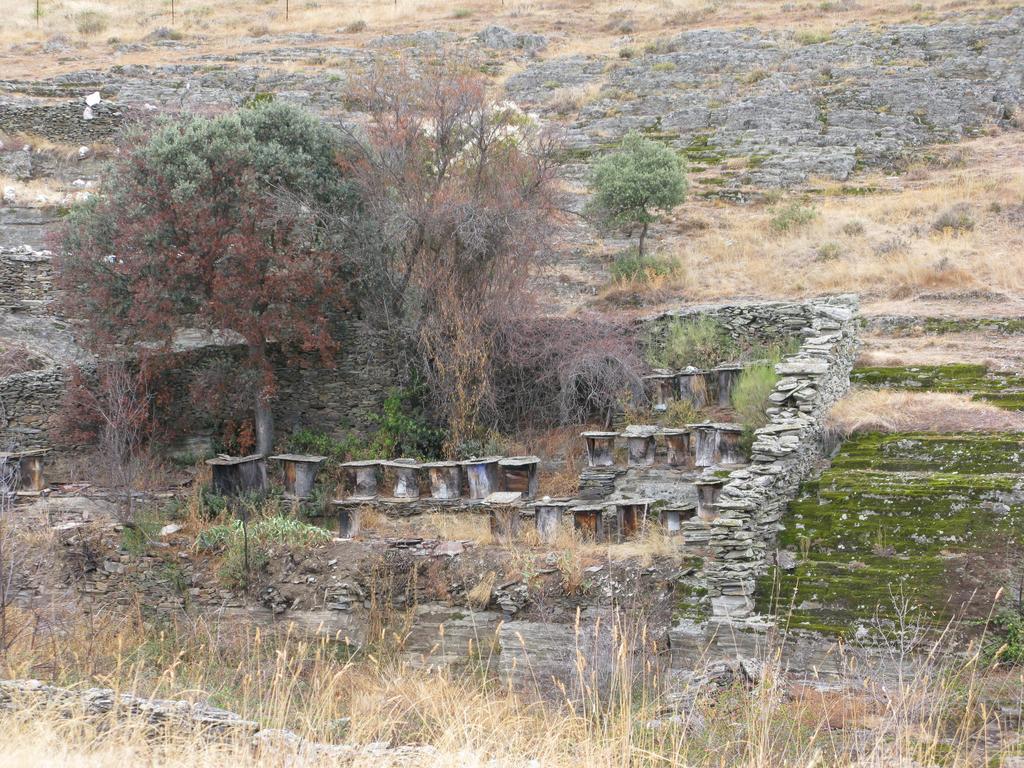 Hosteria Camino Luyego de Somoza المظهر الخارجي الصورة