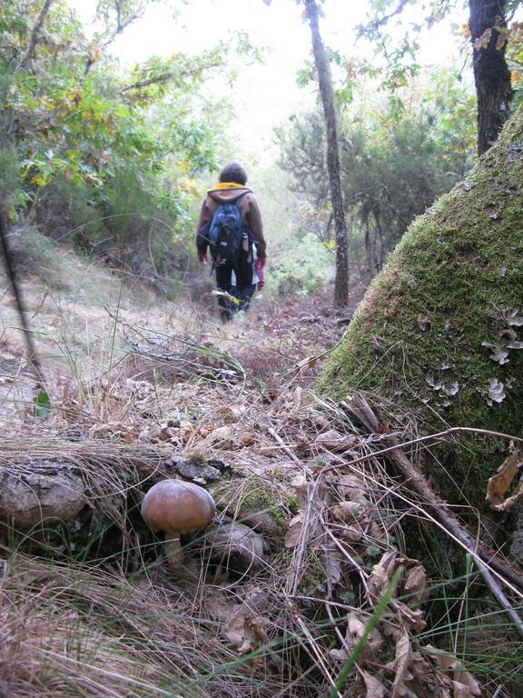 Hosteria Camino Luyego de Somoza المظهر الخارجي الصورة